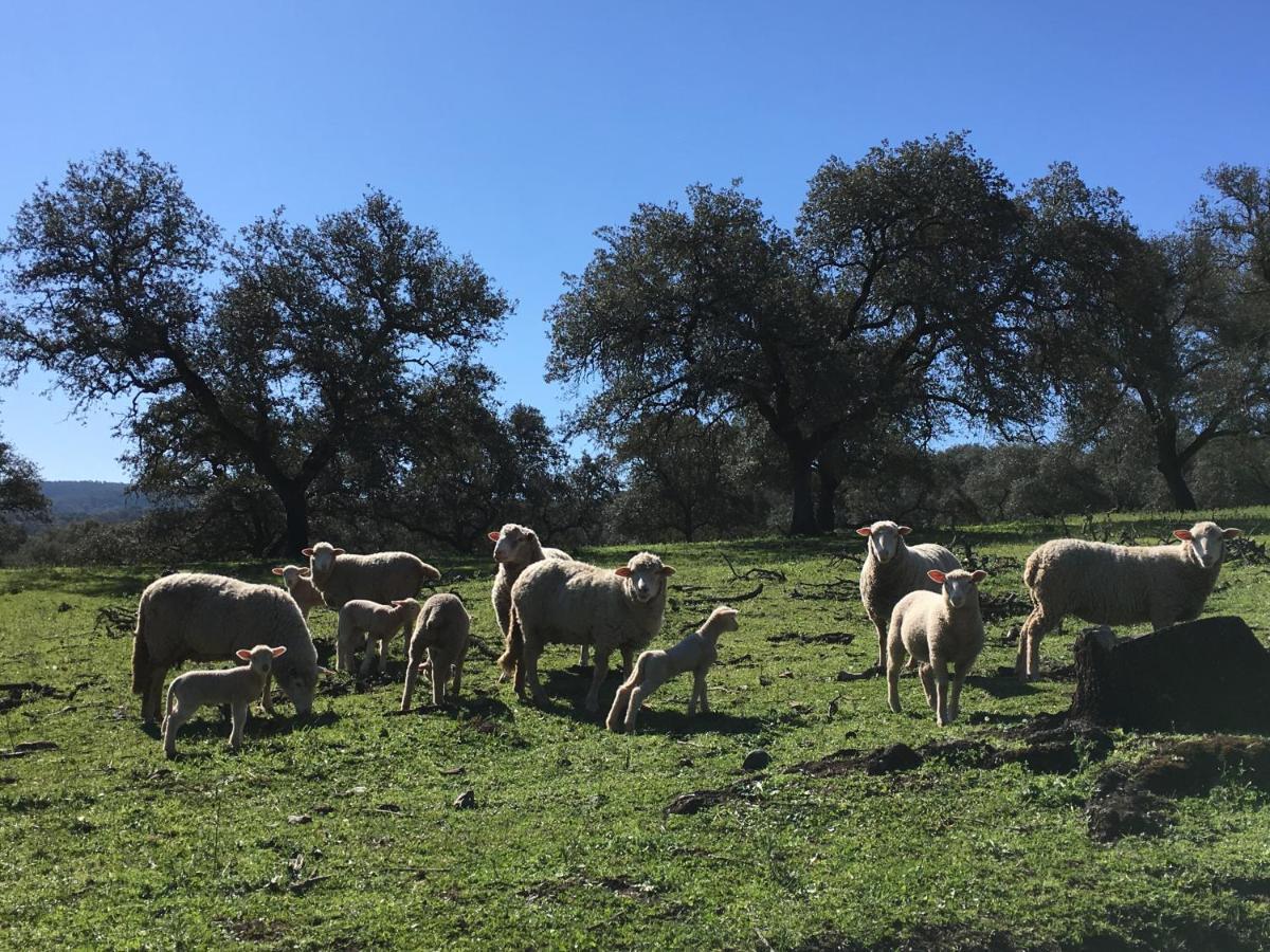 Casa Rural Monterrey Aroche Eksteriør bilde